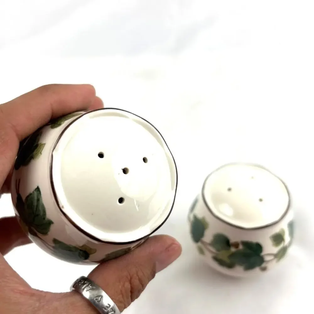 VTG‎ Green Ivy Plant Salt and Pepper Ceramic Shakers Japan Set